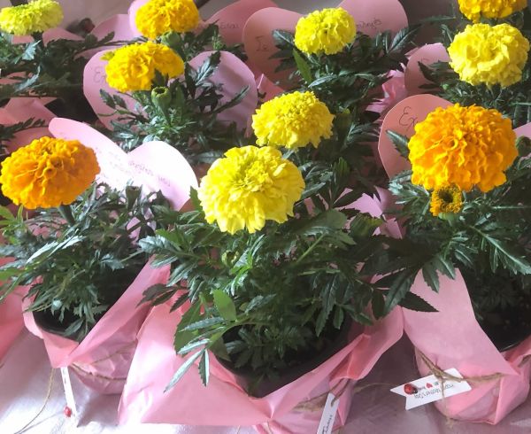 Γιορτή Μητέρας 2025 — φωτογραφία 5